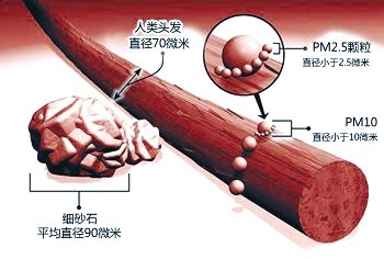 比PM10大的顆粒物是PM50。PM50的體積是PM 2.5體積的8000倍