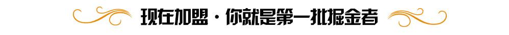 加盟霍爾 你就是第一批掘金者