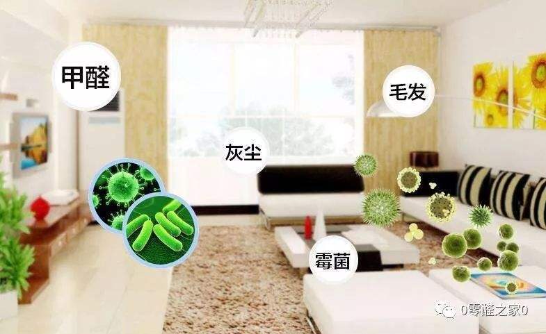 別再沉溺于“醛”世界的溫柔鄉(xiāng)