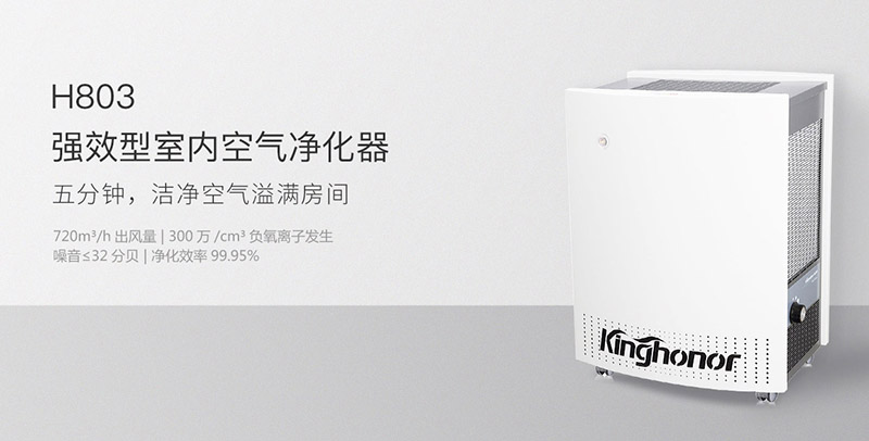H803強(qiáng)效型空氣凈化器